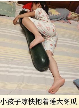 真大冬瓜抱着睡觉清凉消暑光滑降温舒服新鲜真正超大青皮冬瓜空调