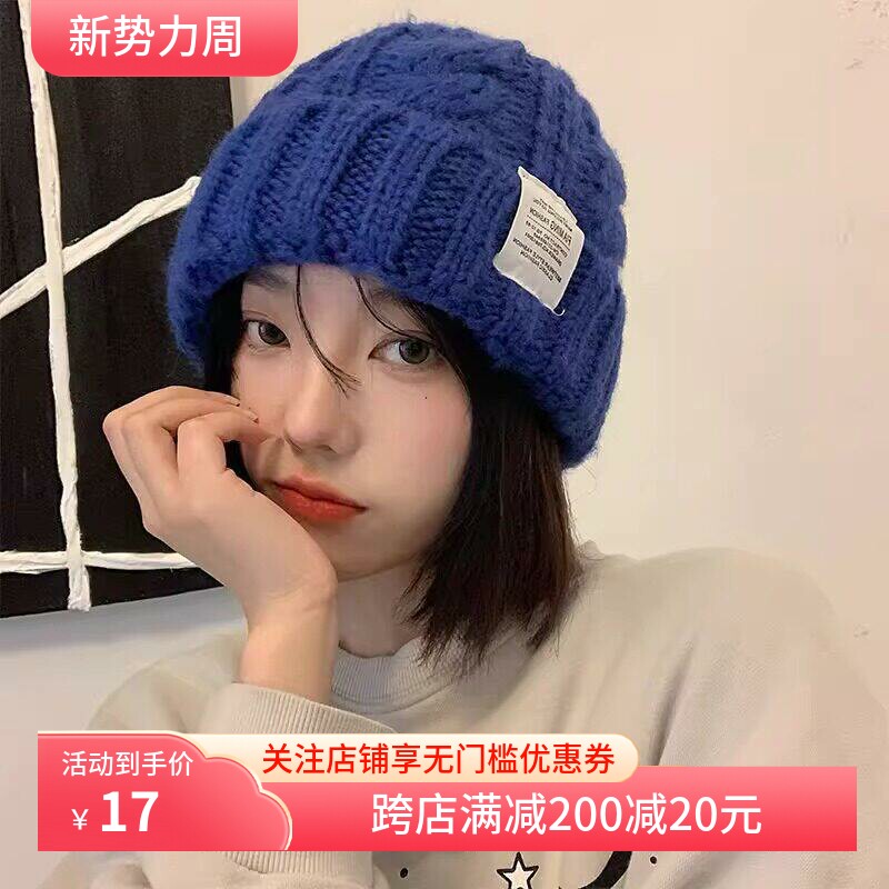 秋冬时尚针织帽女款韩版时尚麻花毛线帽保暖护耳多色可选休闲