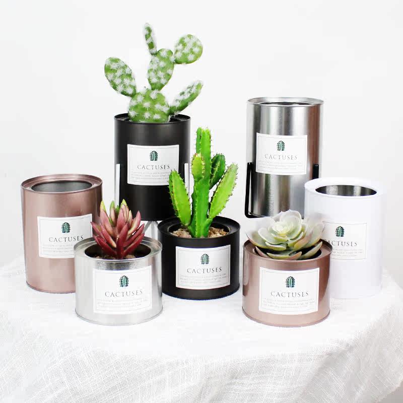Northern Europe ins Fleshy Flower pot Cans Cactus Iron art Floral organ desktop Storage decorate Decoration Botany Potted plantin the Home accessories , Vase/Flower/Artificial flowers/Imitation jewelry , Flower/Vase , Flower barrels  category - from Buy2taobao.com to provide professional Taobao agent buy service