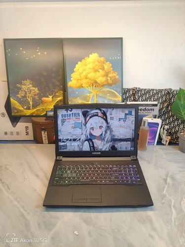 二手神舟游戏本 15.5寸大屏8代i5六核GTX1060 6G独显，16G