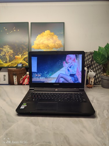 二手神舟P65xRP游戏本 15.5英寸大屏 i5四核GTX1060 6G独显