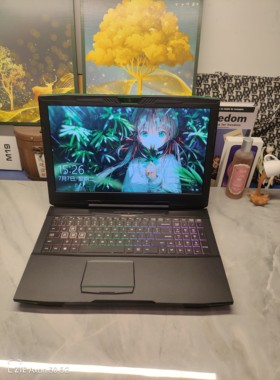 二手神舟GI5CN54游戏本 15.5英寸大屏 i7六核GTX1050Ti 4G独显