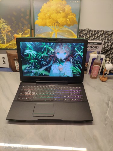 二手神舟GI5CN54游戏本 15.5英寸大屏 i7六核GTX1050Ti 4G独显