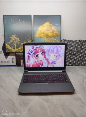 二手雷神911游戏本 15.6寸8代i7六核GTX1050Ti 4G独显 16G内存