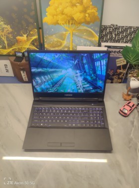 二手神舟游戏本 15.5寸大屏 i5四核GTX1650 4G独显 16G大内存