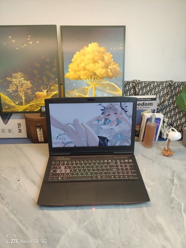 二手机械革命X2游戏本 8代i5 GTX1050Ti 4G独显16G内存 512G固态