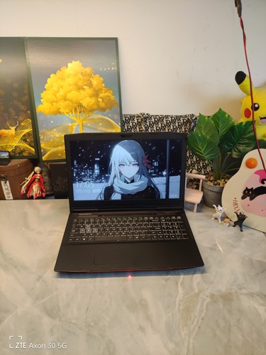二手机械革命X1电脑 15.5寸大屏 i7四核GTX1060 6G独显  512G固态