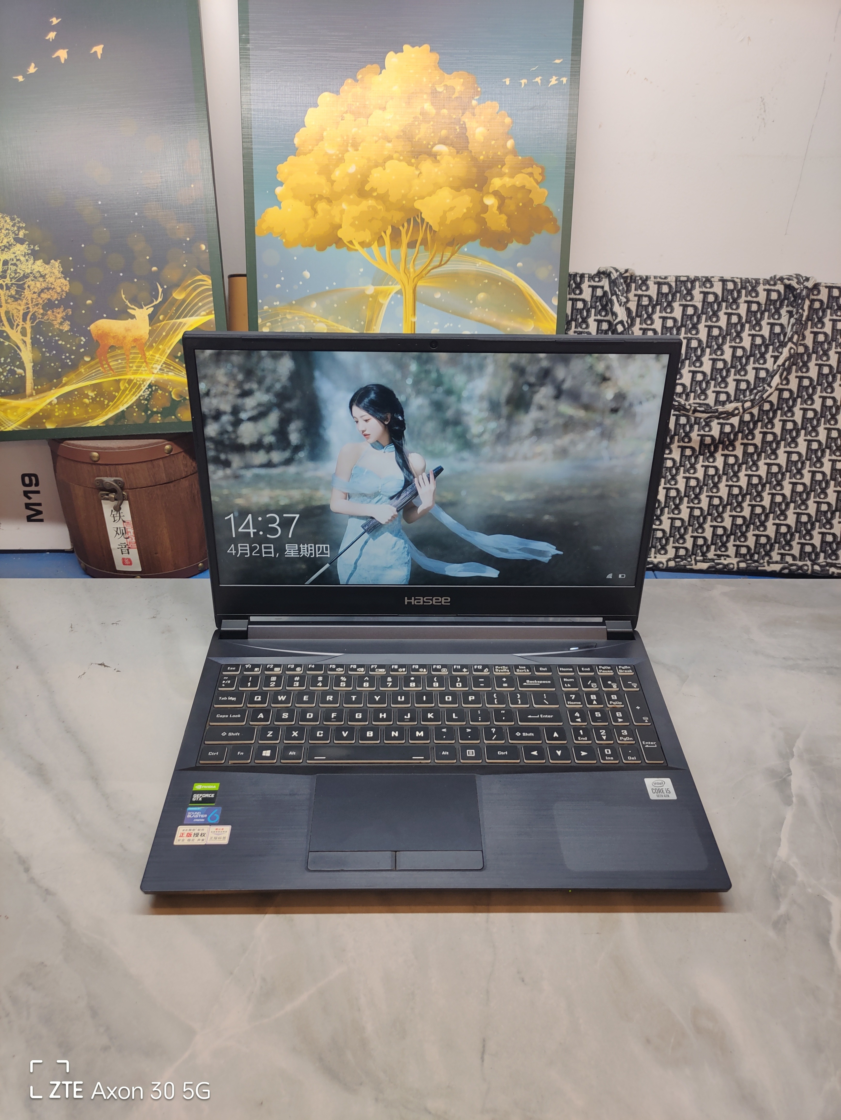 二手神舟游戏本 15.5寸大屏 i5四核GTX1650Ti 4G独显 16G内存 - 实物图