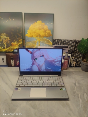 二手机械师F117-B游戏本 15.5寸大屏  i7六核GTX1050Ti 4G独显