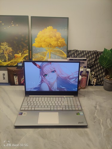二手机械师F117-B游戏本 15.5寸大屏  i7六核GTX1050Ti 4G独显