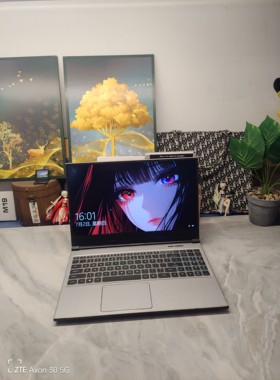 二手机械革命Z2 Air游戏本 15.5寸大屏 i7六核，4G独显 16G内存