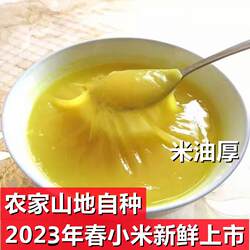 五莲山米脂黄小米粥特级小黄米2025年新米5斤孕妇产后宝宝辅食西