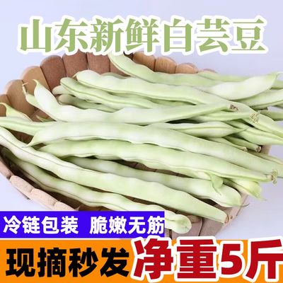 现摘新鲜蔬菜自种自销