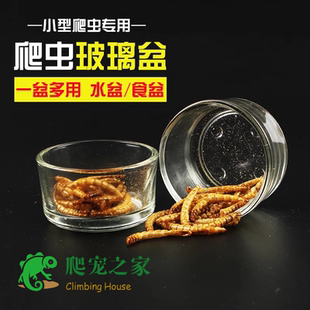 食盆水盆爬虫专用 蜘蛛蝎子蜈蚣等爬虫水盆食盆