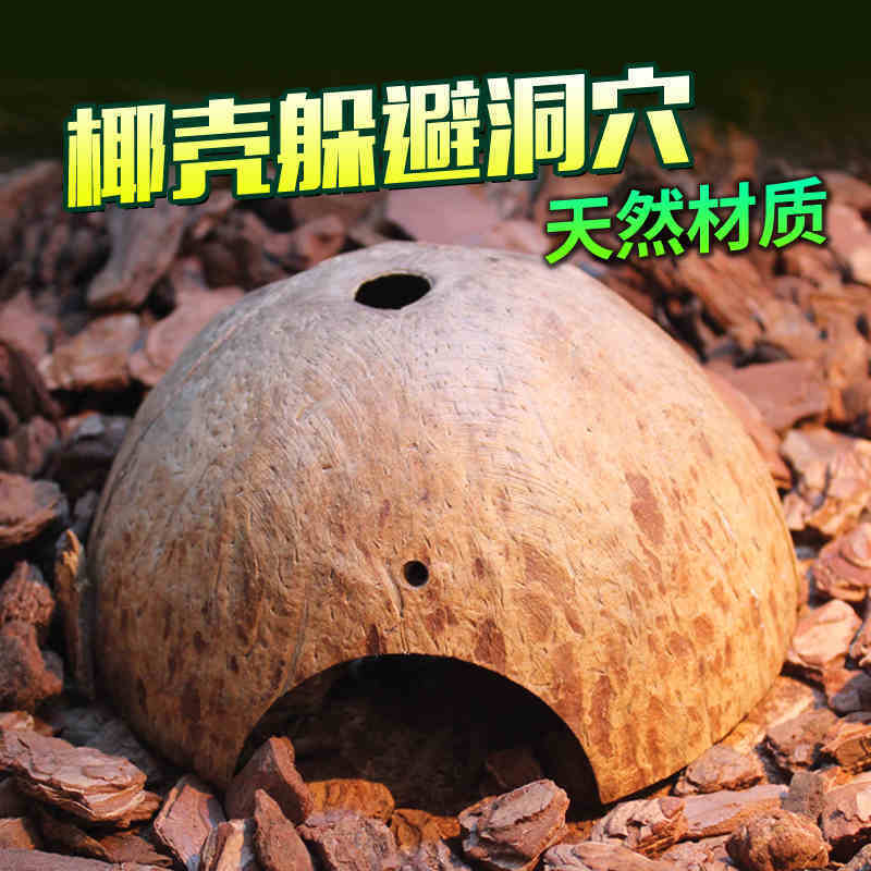 椰壳躲避洞穴爬宠屋冬眠