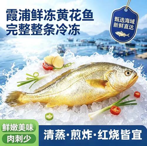 条冻黄花鱼1.5kg/5条大黄鱼生鲜海鲜水产深海鱼清蒸烧烤三去黄鱼
