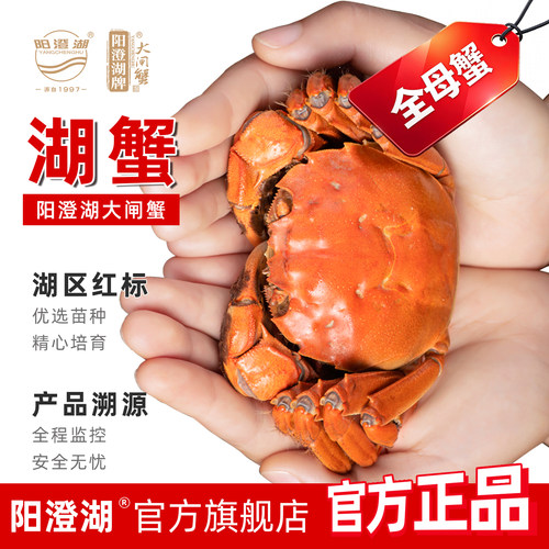 活蟹阳澄湖大闸蟹阳澄湖牌