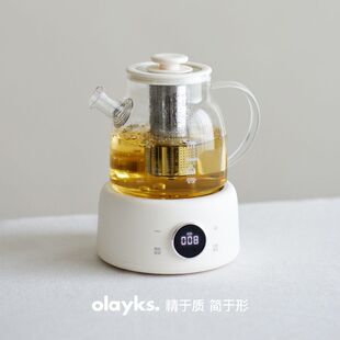 日本高端养生壶办公室工位小型一人用800ml炖煮一体全自动保温