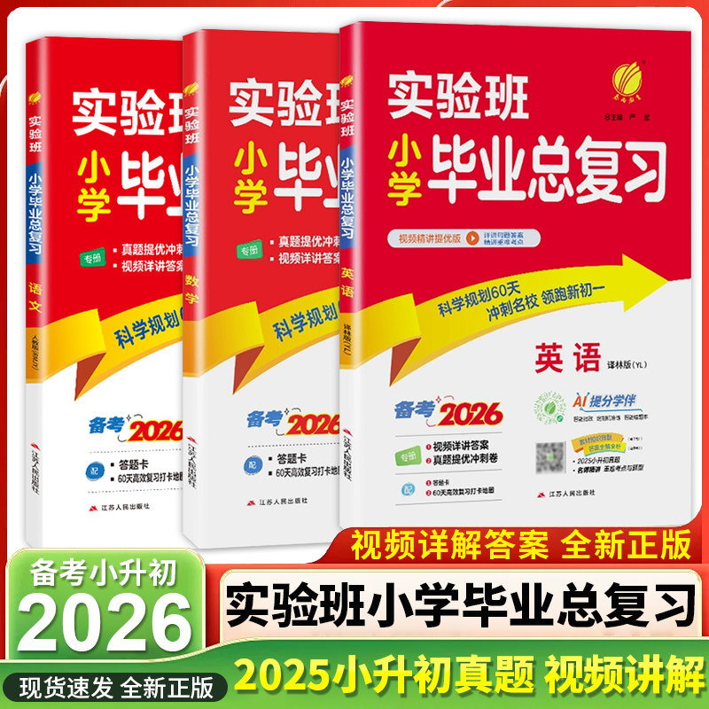 2026版小升初 实验班小学毕业总复习语文数学英语提优训练 小学升学知识大集结 小升初专项训练真题集人教译林通用版专项训练套装