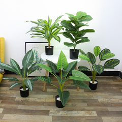 lọ hoa giả đẹp Bắc Âu mô phỏng cây phòng khách trong nhà hoa trang trí phòng ngủ sáng tạo giả cây xanh trong chậu đồ trang trí Ins Internet nổi tiếng cây cảnh hoa lan hồ điệp giả chậu hoa giả lớn