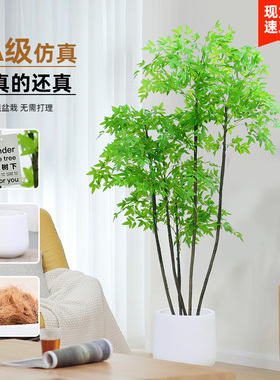 假树南天竹彷真绿色植物落地盆栽彷生植物摆件客厅沙发边家居装饰