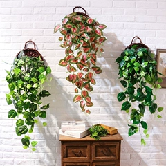 Cây thường xuân treo tường thường xanh trong nhà mô phỏng cây thì là xanh hoa giả mây trang trí phòng khách mô phỏng cây xanh treo tường hoa hoa anh đào giả giả hạc chớp mỹ