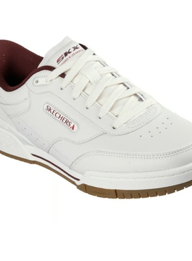 代购美国进口斯凯奇男系带轻便舒适春秋季耐磨休闲鞋板鞋254200