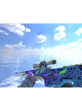 CSGO租号vox野荷vox永恒vox龙狙树篱绿宝石爪潘多拉蓝蝴蝶