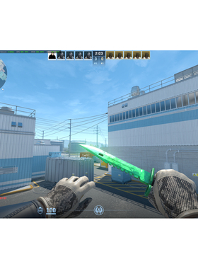 CSGO租号cs2雪豹手套原皮蝴蝶刀雷击awp燃料喷射ak金蛇m4龙狙野荷