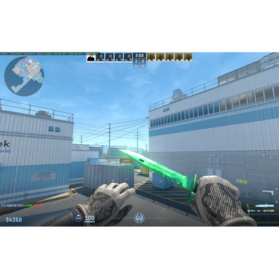CSGO租号cs2雪豹手套原皮蝴蝶刀雷击awp燃料喷射ak金蛇m4龙狙野荷