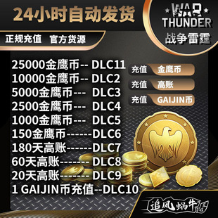 高级 高账 10000 War GJN 战争雷霆 Thunder 金鹰 5000 自动发货