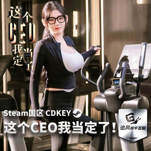 Steam 正版 PC 游戏 这个CEO我当定了！ 国区激活码 CDKEY