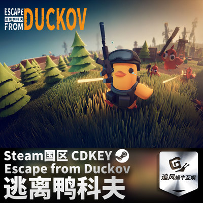 Steam 正版 PC 游戏 逃离鸭科夫 国区激活码 CDKEY