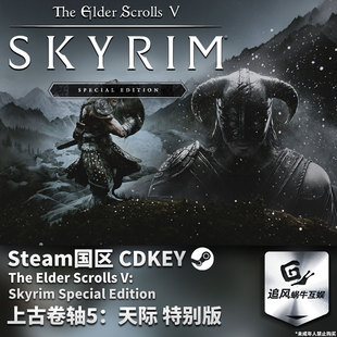 Steam 正版 PC 上古卷轴5 天际 特别版 老滚5 国区激活码 CDKEY