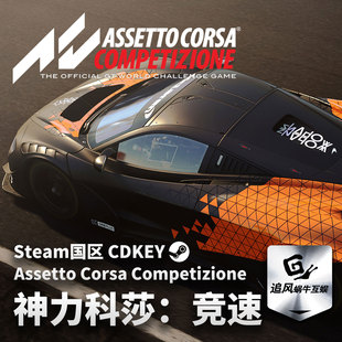 Steam 正版 PC 游戏 神力科莎：竞速 Assetto Corsa Competizione