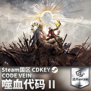 Steam 正版 PC 游戏 CODE VEIN 噬血代码 II 国区激活码 CDKEY