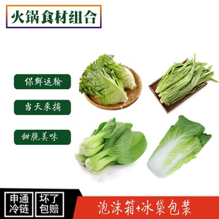 云南农家自种新鲜黄白菜西生菜奶油生菜油麦菜混合包装甜脆美味