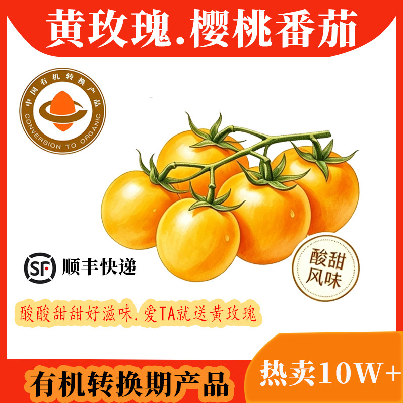 云南高原黄玫瑰樱桃番茄酸甜新鲜