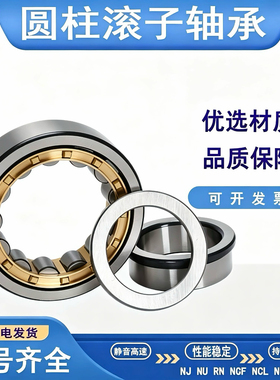 圆柱滚子轴承NJ NU 212 213 214 215 216 217 218 219 220 221 EM