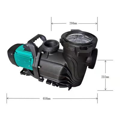 ARINA新款水泵 雅丽娜泳池过滤循环泵 030704新款泳池水泵