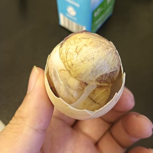 五香味麻辣13天活珠子