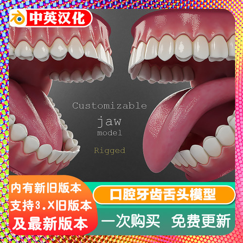 Blender口腔牙齿牙龈舌头3D模型 高精度牙医资产预设完整口腔结构