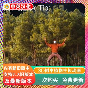 支持4.5 11.5 3D树木植物生长动画资产库 Grove Blender插件The