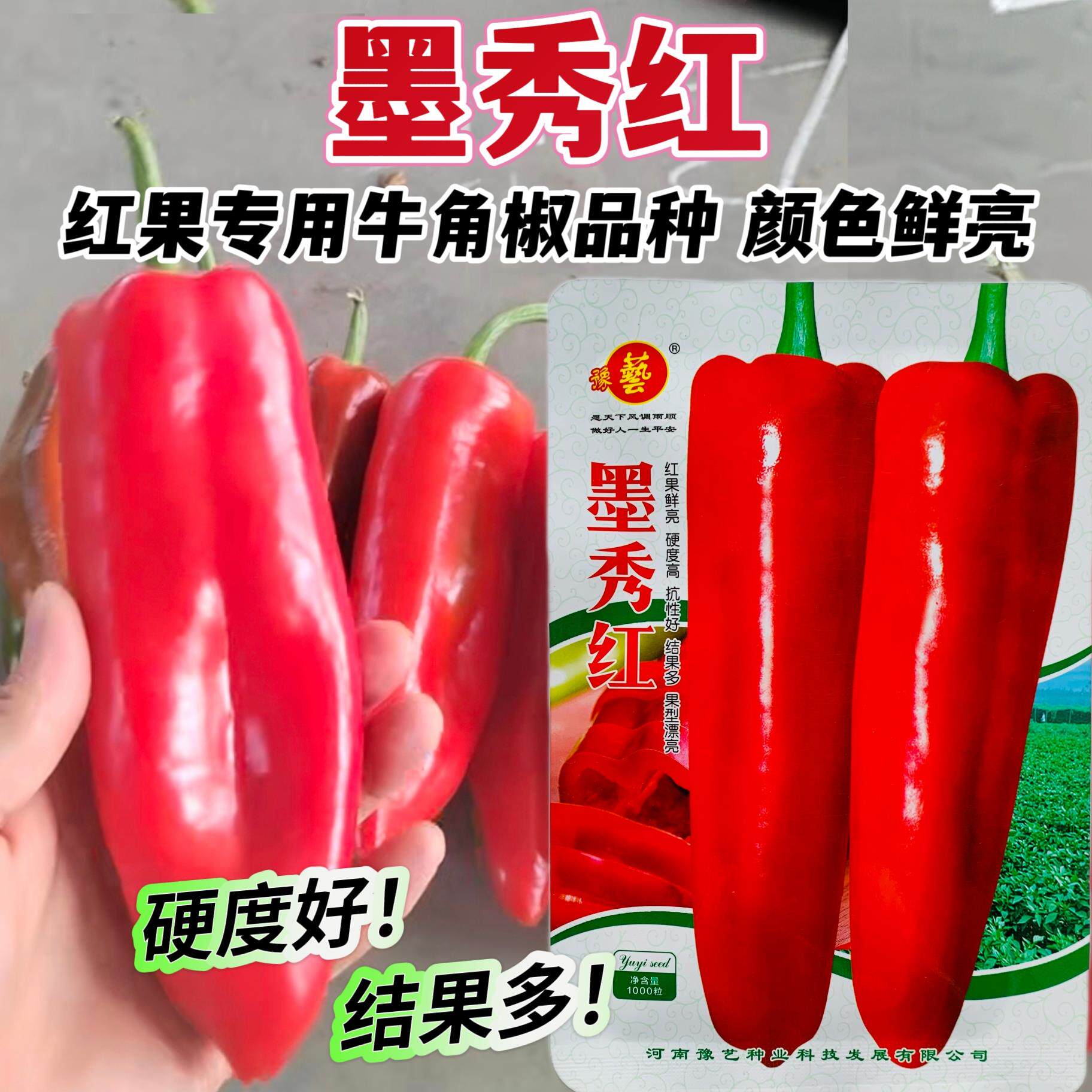 墨秀红辣椒种子大果红椒种牛角椒种子红果专用辣椒种籽转红快