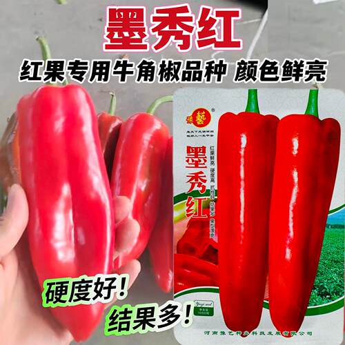 墨秀红辣椒种子大果红椒种牛角椒种子红果专用辣椒种籽转红快