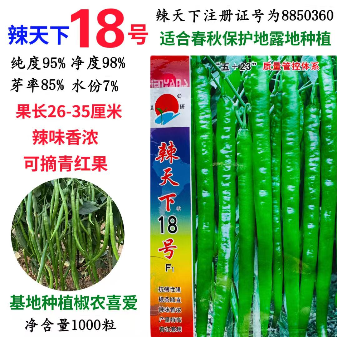 辣天下18号辣椒种子早熟高产抗病耐高温长线条型菜园蔬菜种子包邮