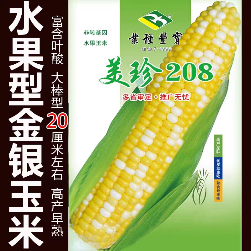 美珍208水果玉米早熟皮薄无渣