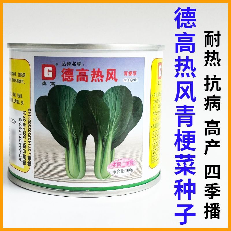 德高热风青梗菜种子耐热叶色深绿油亮好捆扎青菜种孑抗热小油菜籽