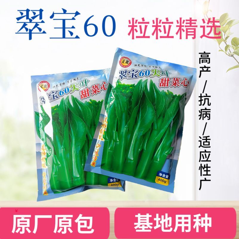 翠宝60尖叶甜菜心种子中早熟茎苔粗大叶柄短碧绿有光泽甜脆无渣