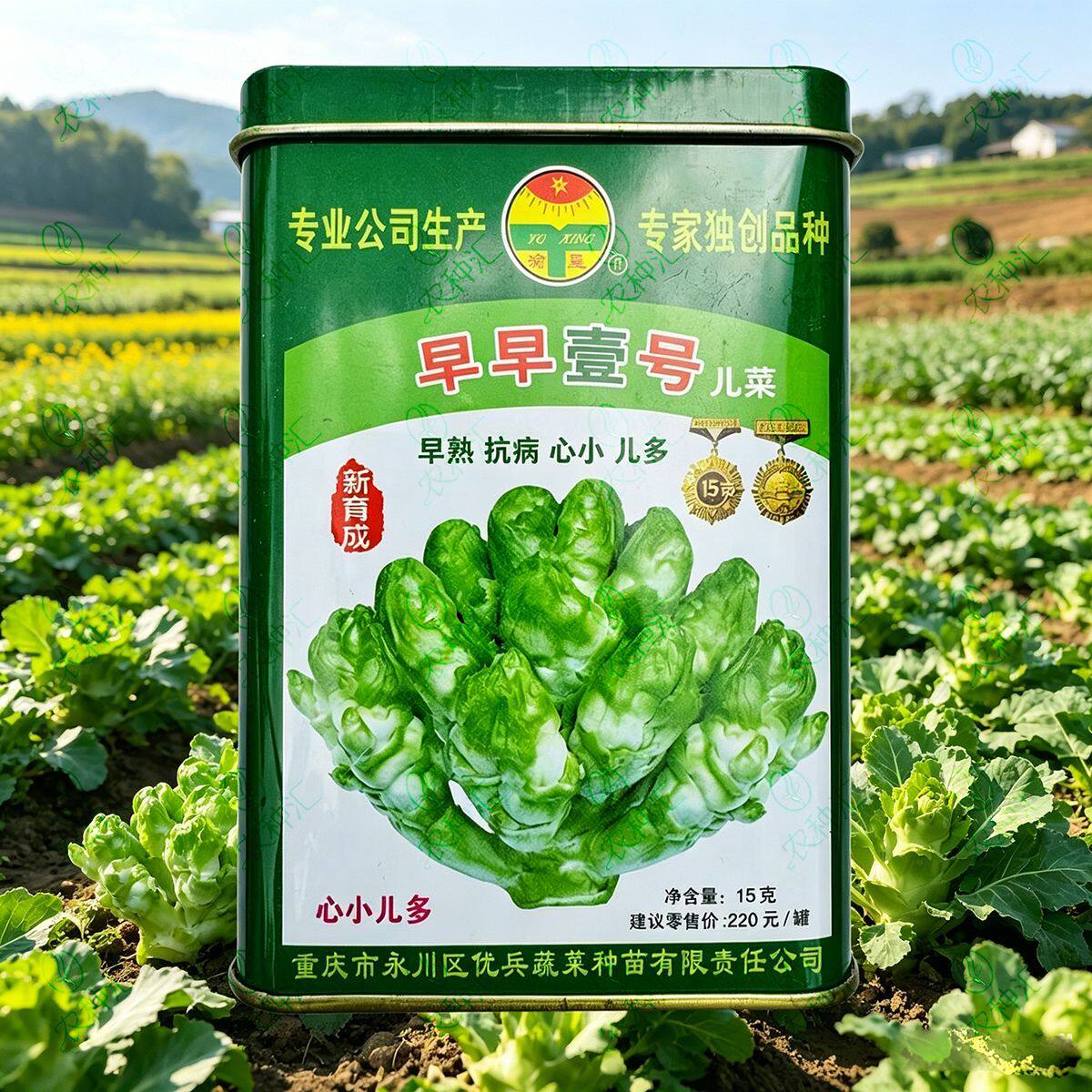 早早壹号早熟儿菜种子四川特产四季菜种籽娃娃菜抱子芥菜籽蔬菜籽